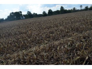 Property photo 85 - EHLE FARMS AUCTION - 118+/- ACRES IN 9 TRACTS IN ALLEN COUNTY, INDIANA